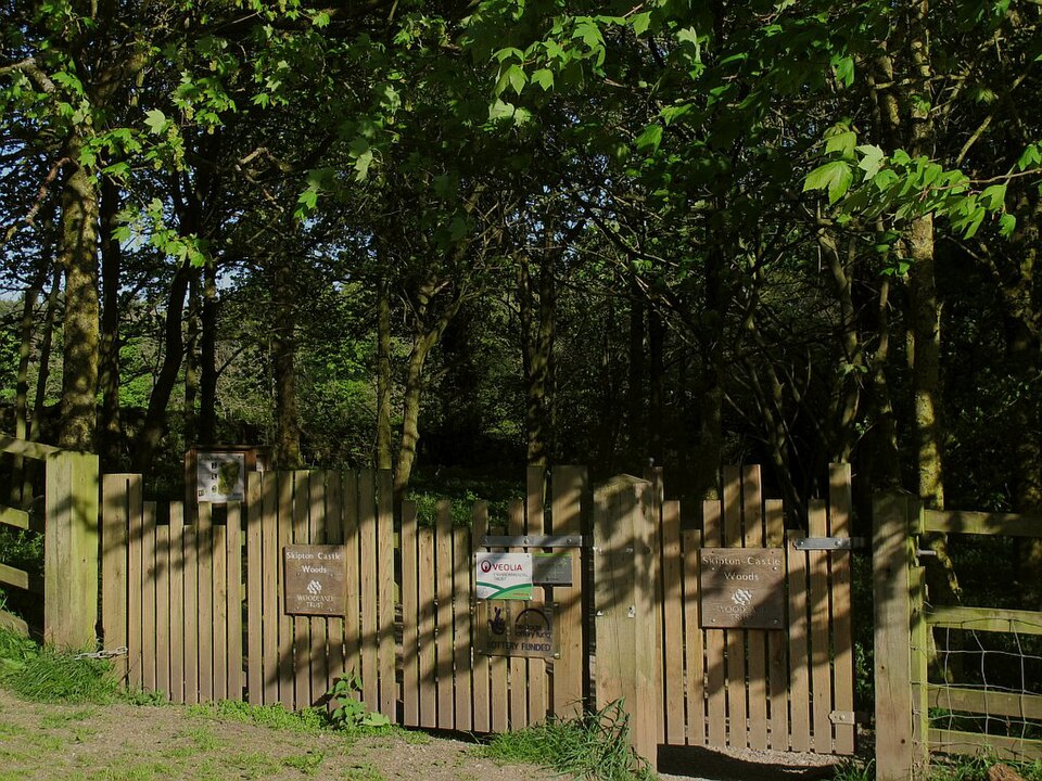 Woodland path in Skipton Castle Woods